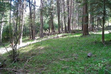 Wallowa Lake Lot For Sale in Wallowalake Oregon