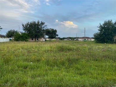 Lehigh Acres Area Lot For Sale in Lehigh Acres Florida