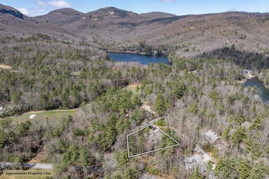 Tucked within the natural beauty of Lake Toxaway Estates, this - photo 4