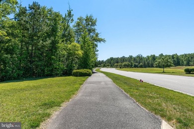 Quick Closing, like new, move-in ready, 3 level residence, in - photo 48