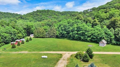 Lake Pepin  Lot For Sale in Stockholm Wisconsin