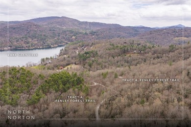 A blank canvas awaits you on this 35+/- acre unrestricted land - photo 3