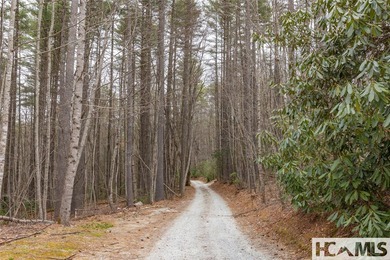 A blank canvas awaits you on this 35+/- acre unrestricted land - photo 4