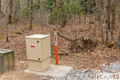 A blank canvas awaits you on this 35+/- acre unrestricted land - photo 6