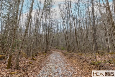 A blank canvas awaits you on this 35+/- acre unrestricted land - photo 7