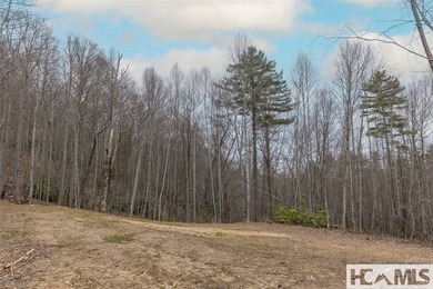 A blank canvas awaits you on this 35+/- acre unrestricted land - photo 9