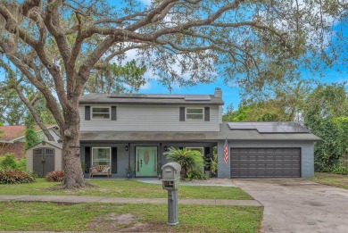Lake Home For Sale in Brandon, Florida