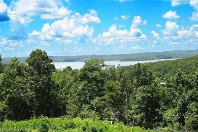 This is a Woodhaven Wonder with amazing year round Lake views - photo 27