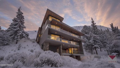 This residence is designed to cascade down a steep mountainside - photo 8