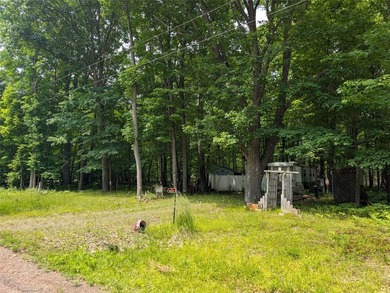 Dairyland Lake Lot For Sale in Ladysmith Wisconsin