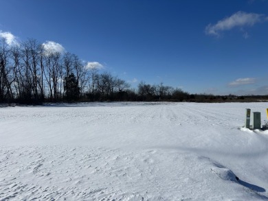 Lake Lot For Sale in Brooklyn, Michigan