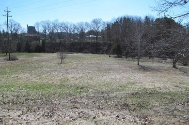 (private lake, pond, creek) Acreage For Sale in Ravenna Michigan