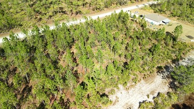 0.50-acre vacant lot on Portulaca Dr in Indian Lake Estates, FL - photo 12