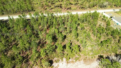 0.50-acre vacant lot on Portulaca Dr in Indian Lake Estates, FL - photo 13