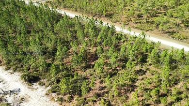 0.50-acre vacant lot on Portulaca Dr in Indian Lake Estates, FL - photo 15