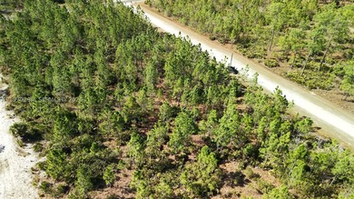 0.50-acre vacant lot on Portulaca Dr in Indian Lake Estates, FL - photo 16