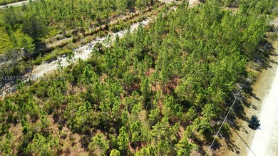 0.50-acre vacant lot on Portulaca Dr in Indian Lake Estates, FL - photo 19