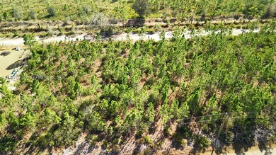 0.50-acre vacant lot on Portulaca Dr in Indian Lake Estates, FL - photo 21