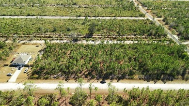 0.50-acre vacant lot on Portulaca Dr in Indian Lake Estates, FL - photo 22