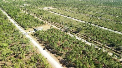0.50-acre vacant lot on Portulaca Dr in Indian Lake Estates, FL - photo 29