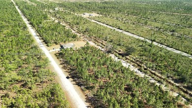 0.50-acre vacant lot on Portulaca Dr in Indian Lake Estates, FL - photo 30