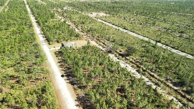 0.50-acre vacant lot on Portulaca Dr in Indian Lake Estates, FL - photo 31