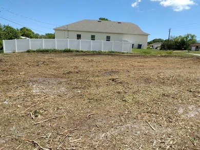 Great investment. This 0.23 acres. Lot is located in one of Palm - photo 1