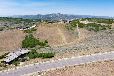 An exceptional opportunity to build your dream mountain retreat - photo 2