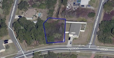 Great investment. This 0.23 acres. Lot is located in one of Palm - photo 2