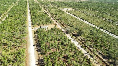 0.50-acre vacant lot on Portulaca Dr in Indian Lake Estates, FL - photo 33