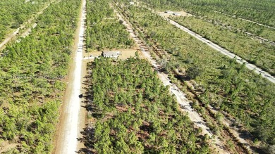 0.50-acre vacant lot on Portulaca Dr in Indian Lake Estates, FL - photo 34