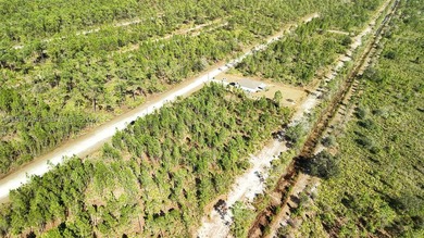 0.50-acre vacant lot on Portulaca Dr in Indian Lake Estates, FL - photo 40