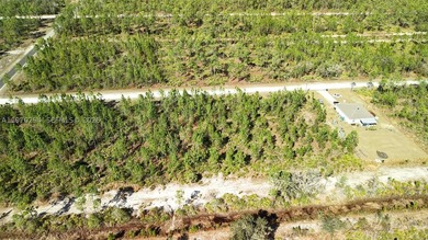 0.50-acre vacant lot on Portulaca Dr in Indian Lake Estates, FL - photo 47