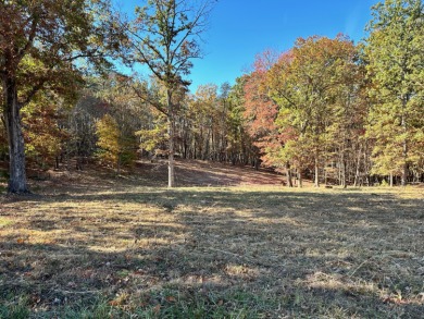 Smith Mountain Lake Lot For Sale in Union Hall Virginia