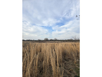 Build your dream home on this beautiful, level piece of land in - photo 3