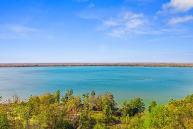 Enjoy northern Michigan living in this well-maintained 3-bedroom - photo 20