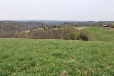 (private lake, pond, creek) Home For Sale in Marshall Arkansas