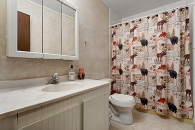 Enjoy northern Michigan living in this well-maintained 3-bedroom - photo 28