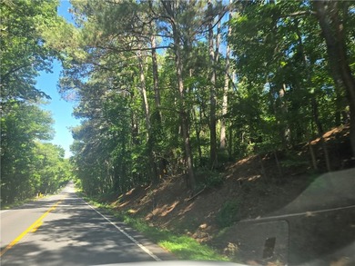 12.3 acres, LAKEFRONT, UNZONED and CONVENIENT TO 85 yet not in a - photo 1