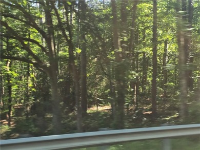 12.3 acres, LAKEFRONT, UNZONED and CONVENIENT TO 85 yet not in a - photo 2