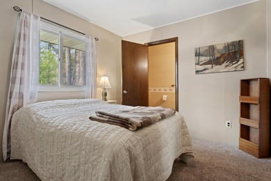 Enjoy northern Michigan living in this well-maintained 3-bedroom - photo 32