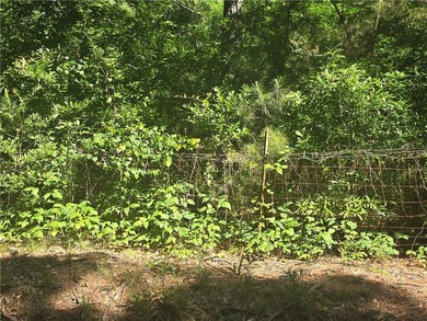 12.3 acres, LAKEFRONT, UNZONED and CONVENIENT TO 85 yet not in a - photo 3