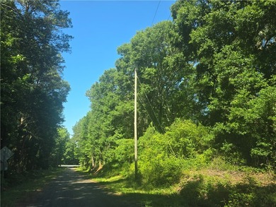 12.3 acres, LAKEFRONT, UNZONED and CONVENIENT TO 85 yet not in a - photo 4