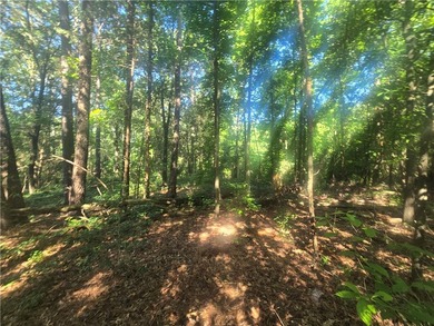 12.3 acres, LAKEFRONT, UNZONED and CONVENIENT TO 85 yet not in a - photo 5