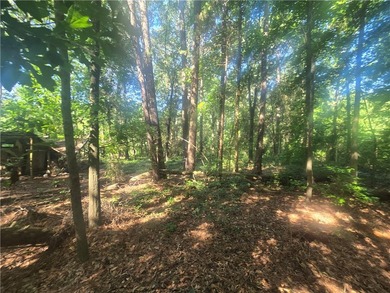 12.3 acres, LAKEFRONT, UNZONED and CONVENIENT TO 85 yet not in a - photo 6
