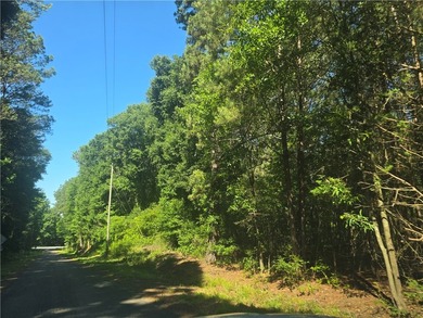 12.3 acres, LAKEFRONT, UNZONED and CONVENIENT TO 85 yet not in a - photo 7