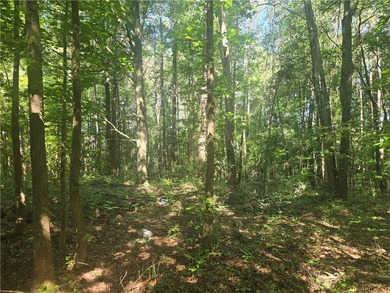 12.3 acres, LAKEFRONT, UNZONED and CONVENIENT TO 85 yet not in a - photo 8