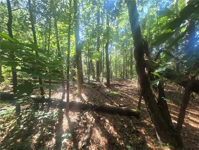 12.3 acres, LAKEFRONT, UNZONED and CONVENIENT TO 85 yet not in a - photo 9