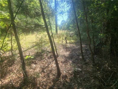 12.3 acres, LAKEFRONT, UNZONED and CONVENIENT TO 85 yet not in a - photo 10