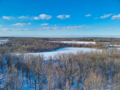 (private lake, pond, creek) Acreage For Sale in Manchester Michigan